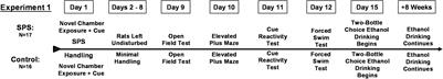 Artificial Intelligence Identified Resilient and Vulnerable Female Rats After Traumatic Stress and Ethanol Exposure: Investigation of Neuropeptide Y Pathway Regulation